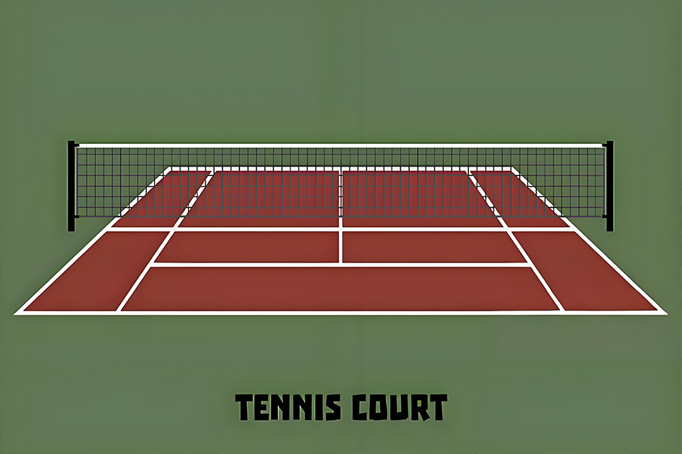 课题组走进山东省小球运动联合会汇报交流